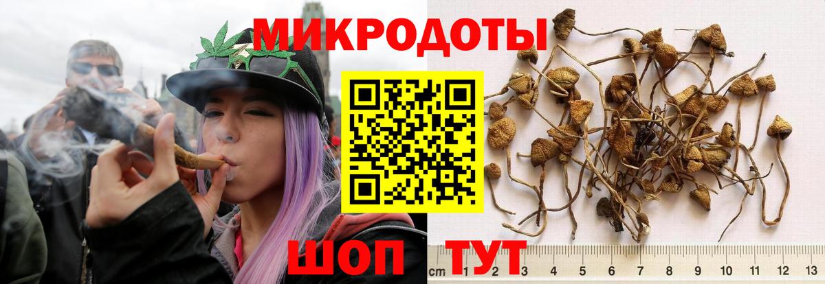 Галлюциногенные грибы MAGIC MUSHROOMS Дивногорск